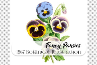 Botanical Fancy Pansies: Vintage Floral Design Assets