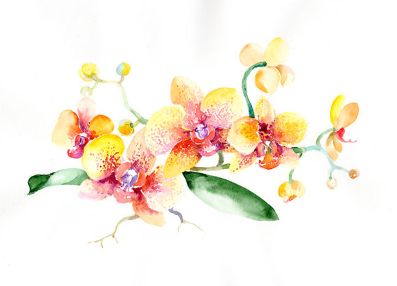 Bouquet Yellow Orchid Flower Watercolor Set: Elevating Creative Projects with Tropical Elegance