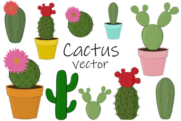 Cactus Vector: Romantic Botanical Design Assets