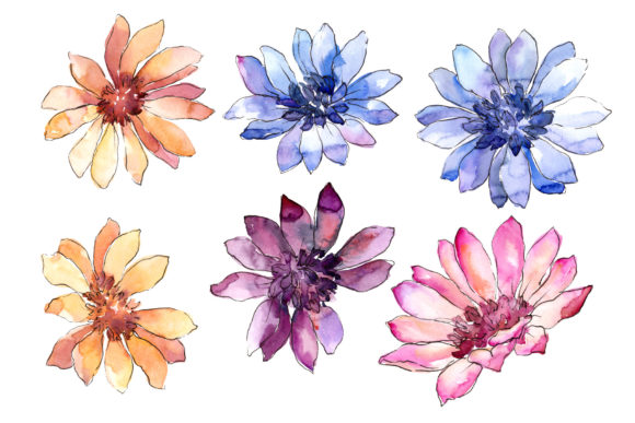 Colorful African Marguerite Watercolor Assets