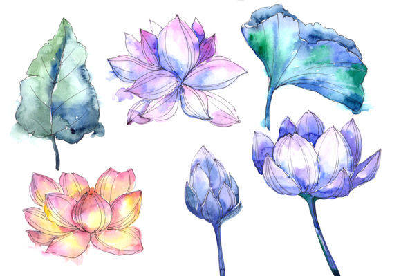 Elevating Creative Projects with the Aquarelle Lotus Flowers Set