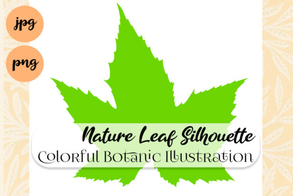 Elevating Seasonal Design with the Nature Leaf Colorful Silhouette Maple