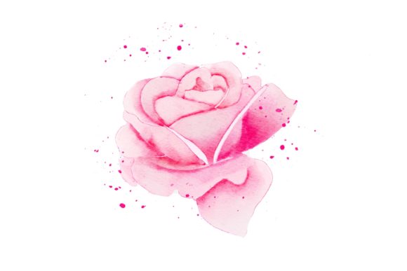 Evaluating Pink Rose Realistic Watercolor PNG for Professional and Personal Design Projects