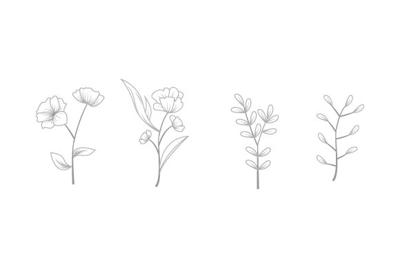 Evaluating the Hand Drawn Plant Set Pack Collection for Design Projects