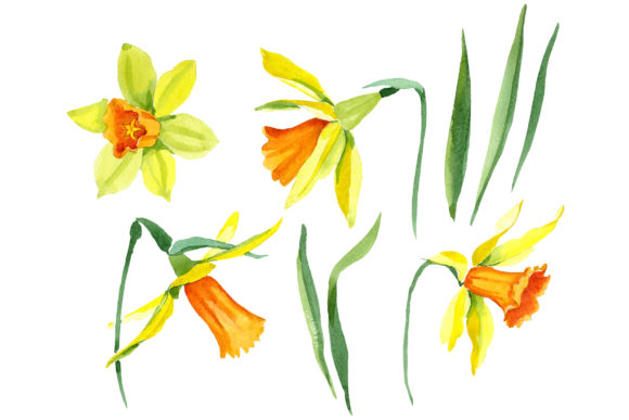 Integrating the Narcissus Lemon Flower Watercolor Set into Professional and Personal Design Projects