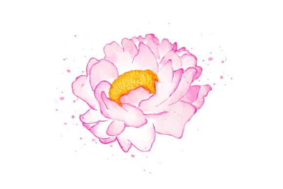 Peonies Flower Watercolor Realistic PNG Assets