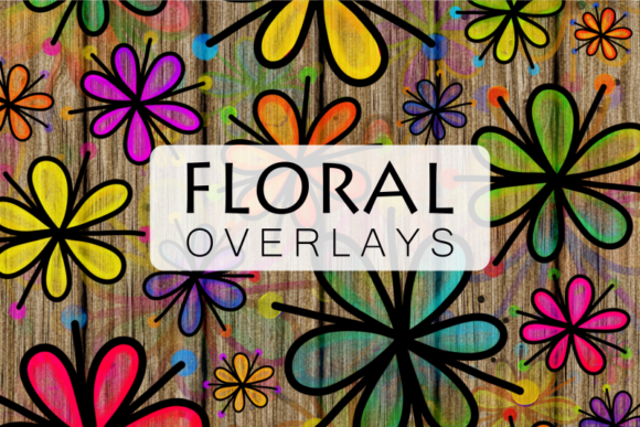 Pretty Doodle Daisy Flower Overlays for Creative Projects