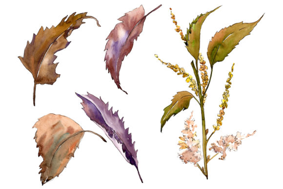 Sweet Chestnut Watercolor Leaves Set