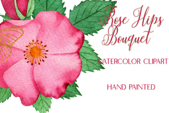 Watercolor Pink RoseHips Bouquet ClipArt Guide