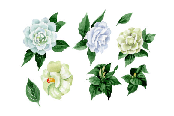 White Camellia Wildflower Watercolor Set Guide