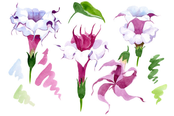 Wildflower Burgundy Brugmansia Watercolor Set: Elevating Botanical Design Projects